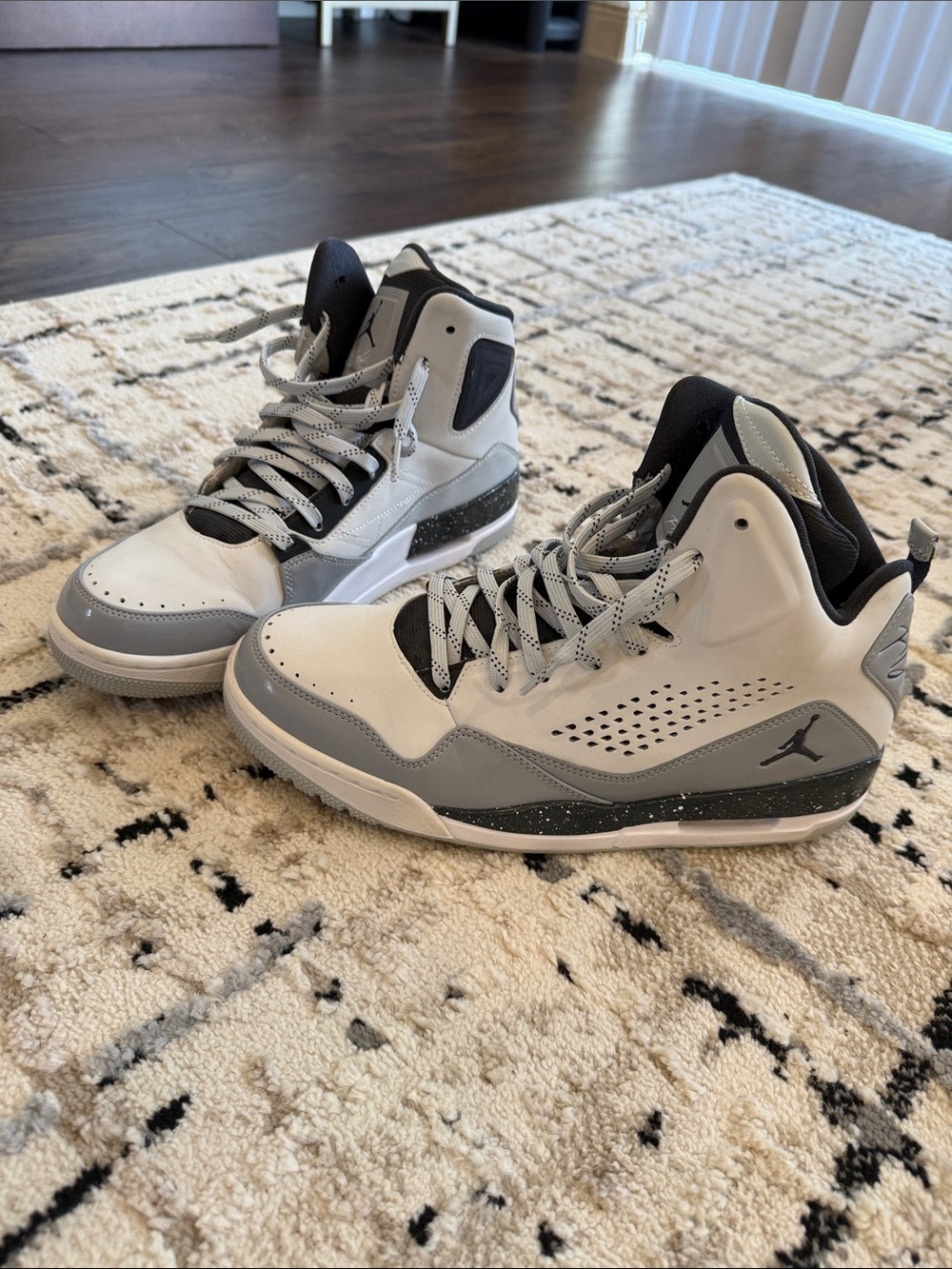 Brand New Air Jordan SC-3 Size 10 Platinum Anthracite Wolf Gray